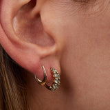 Vine design earrings