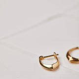 Vine design earrings