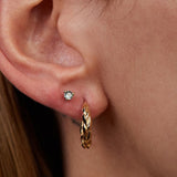 Gold oat earrings