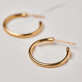 Classic Gold Hoop Earrings